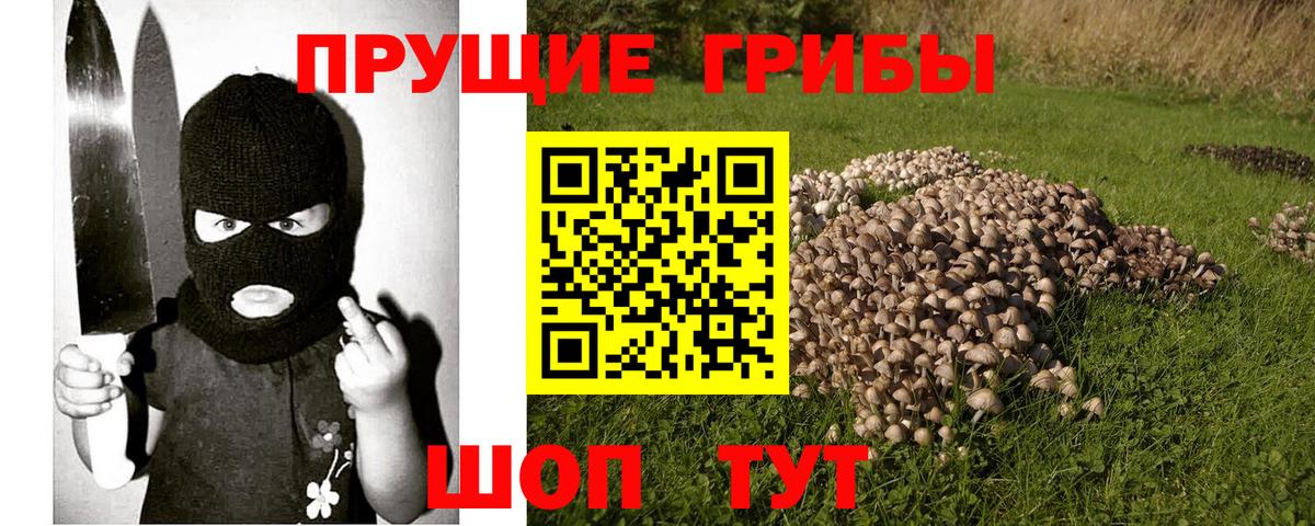 Псилоцибиновые грибы ЛСД  Вход с VPN  Нерюнгри 