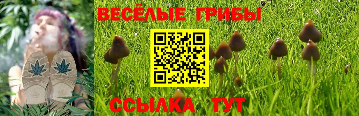 Псилоцибиновые грибы MAGIC MUSHROOMS Нерюнгри